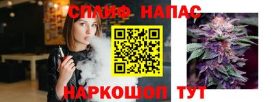 гидра Новодвинск