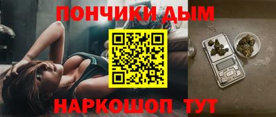 гидра Новодвинск