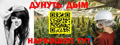 гидра Новодвинск