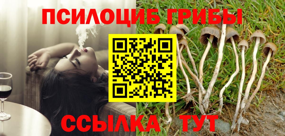 Галлюциногенные грибы Magic Shrooms Протвино