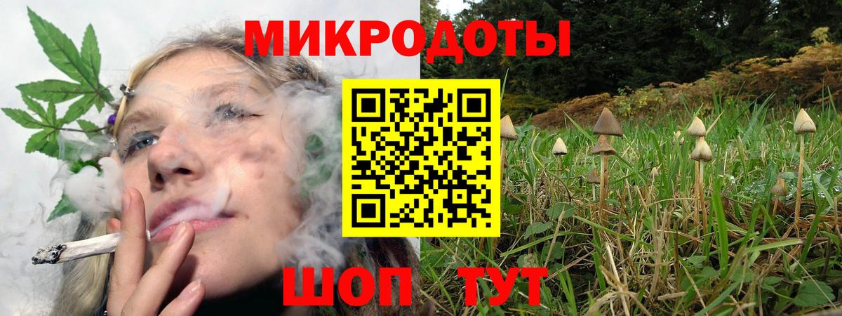 Псилоцибиновые грибы GOLDEN TEACHER  Вход с VPN  Протвино  Псилоцибиновые грибы ЛСД 